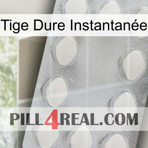 Tige Dure Instantanée 16